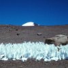 Ciclos de Montaña