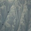 Ciclos de Montaña