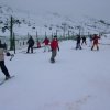 Ski
