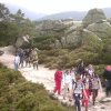 Siete Picos