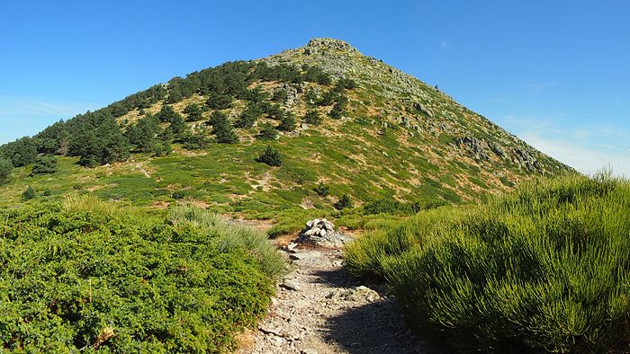 imagen Montón de Trigo