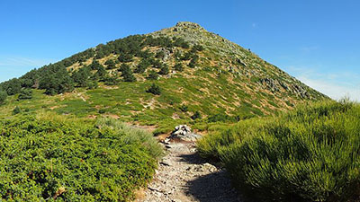 imagen Montón de Trigo